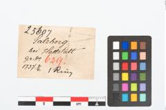 Etikett zu Bronzering (NHMW-PRAE-025607)